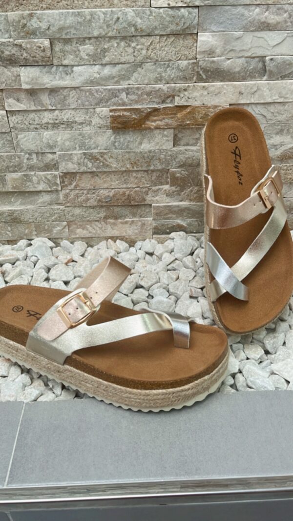 Sandalia tricolor - Imagen 2